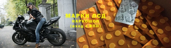 шишки Баксан