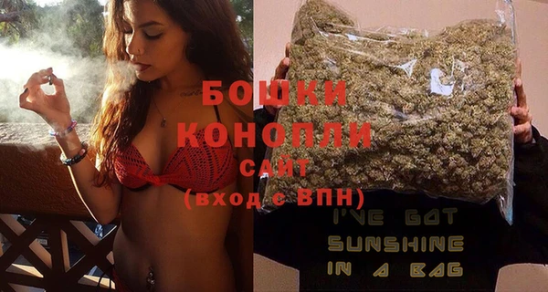 шишки Баксан
