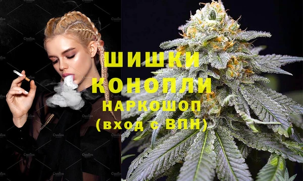 гидра Балахна