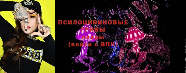 гидра Балахна
