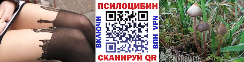 Галлюциногенные грибы GOLDEN TEACHER  продажа наркотиков  Куровское 